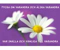 Tycka om varandra och älska varandra. Var snälla och vänliga till varandra